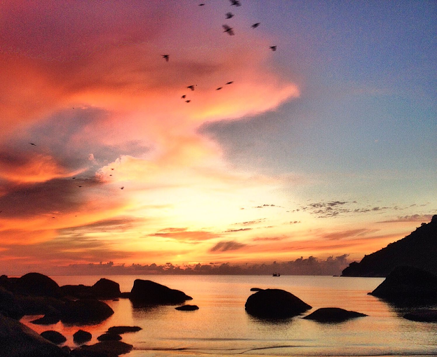 PASSION… P A S S I O N … P A S S I O N!!