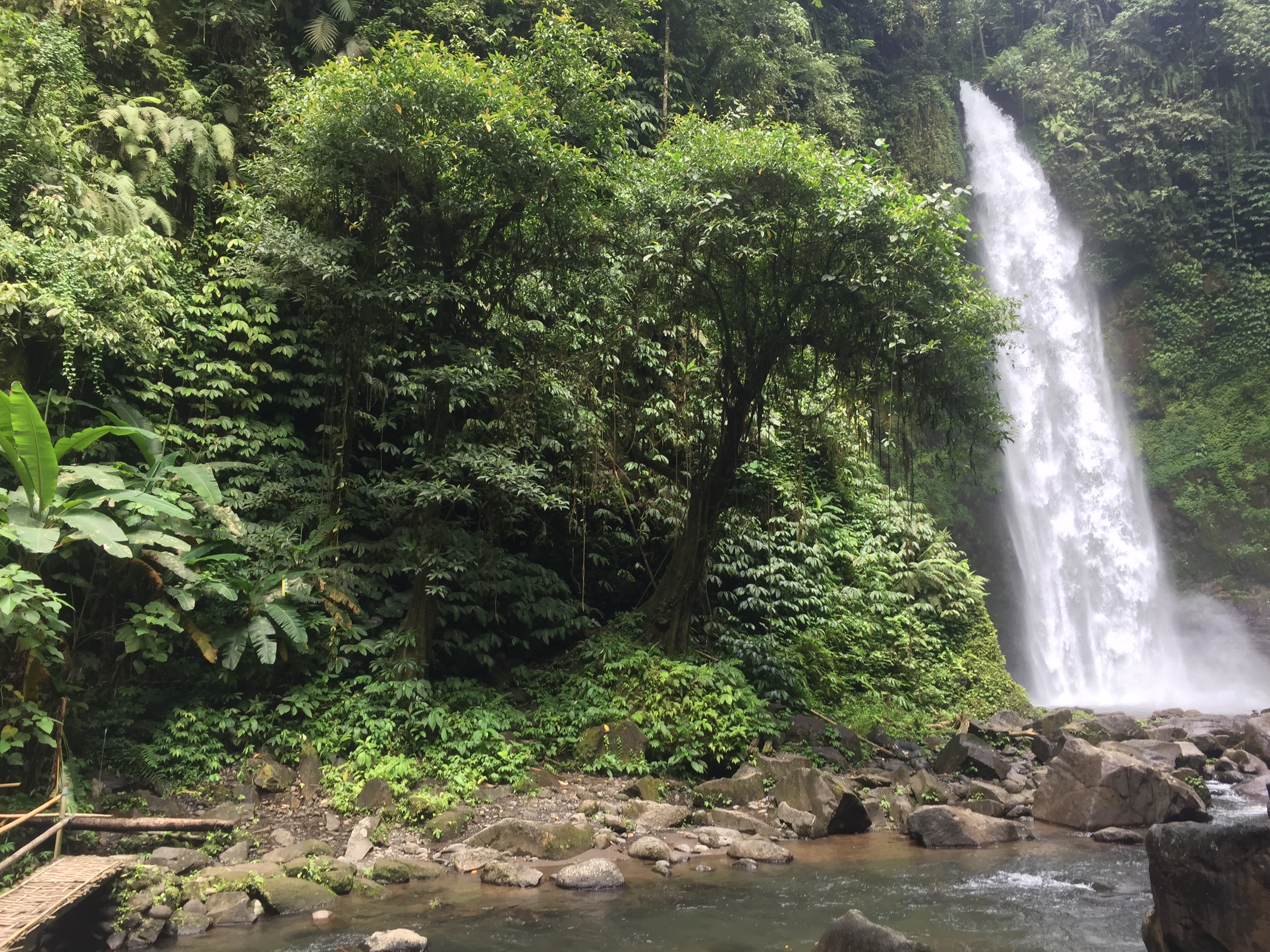 Settle in the Here and Now