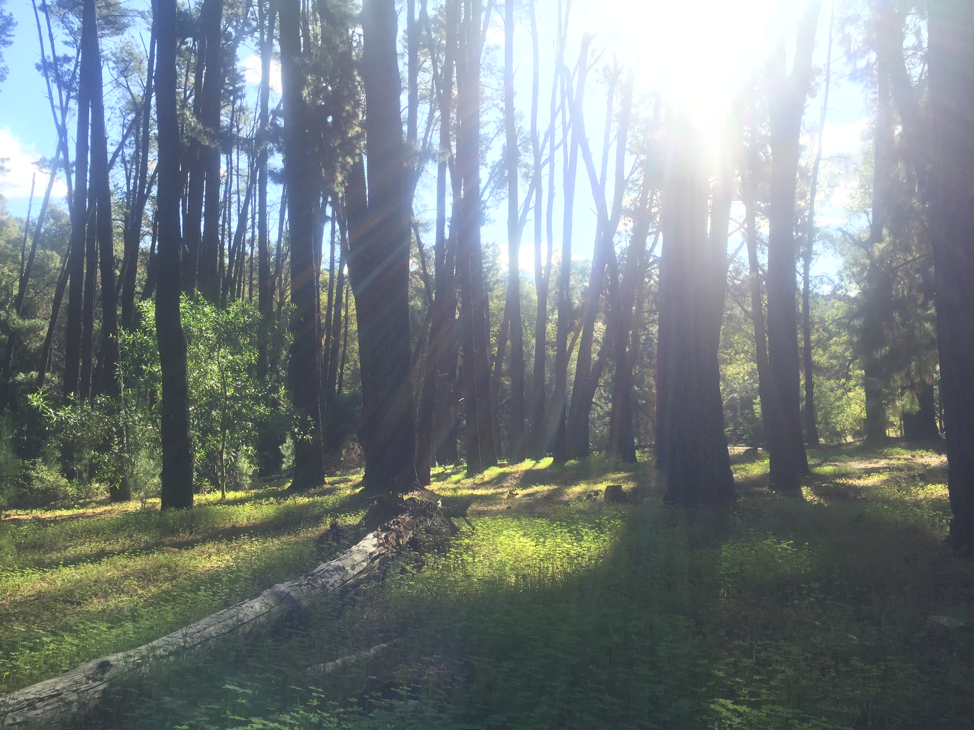 Inspiration…Inspirare…To Breathe Life Into